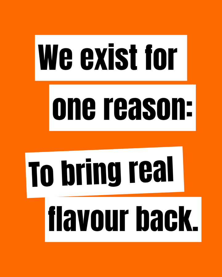 Oranges Motiv mit dem Claim We exist for one reason: To bring real flavour back