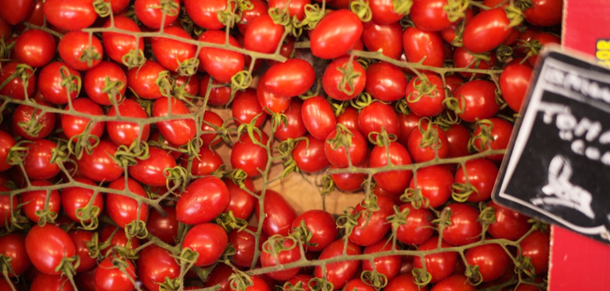 Kisten mit roten Strauchtomaten auf einem Markt